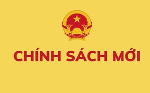 Nghị định số 68/2026/NĐ-CP